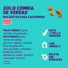 Edgard & Cooper Snacks Mini Puppy de Pato e Frango para cães , , large image number null